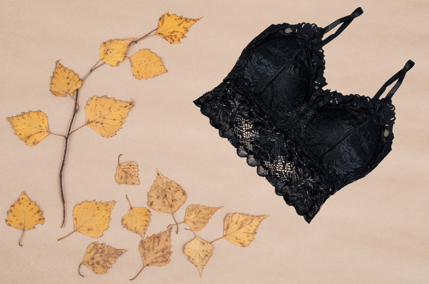 Elegant lace bralette designed for comfort and style, perfect for enhancing your lingerie collection