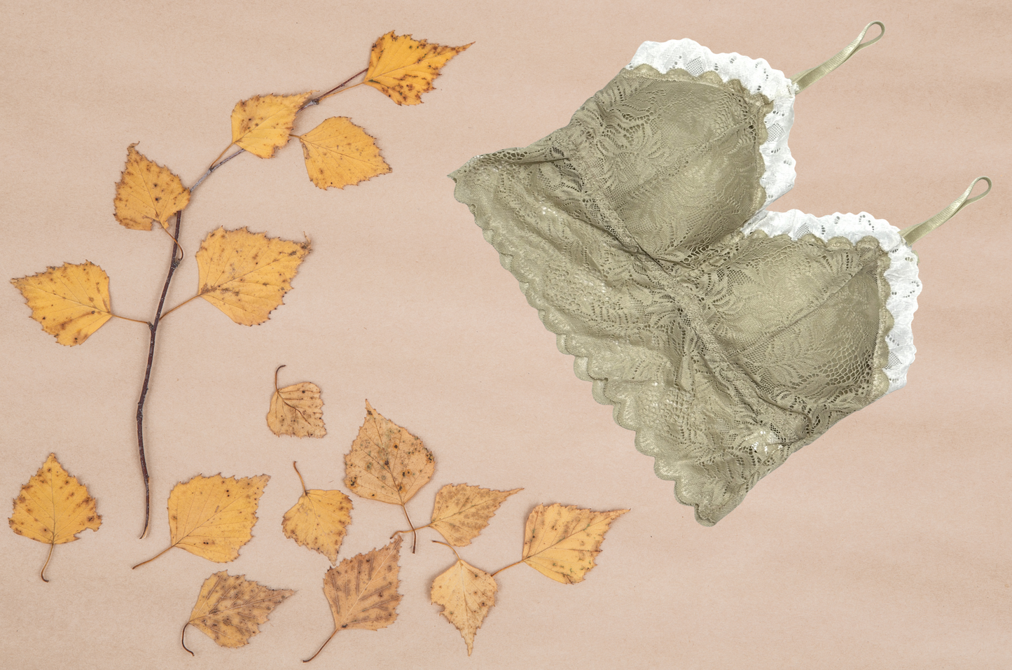Elegant lace bralette designed for comfort and style, perfect for enhancing your lingerie collection