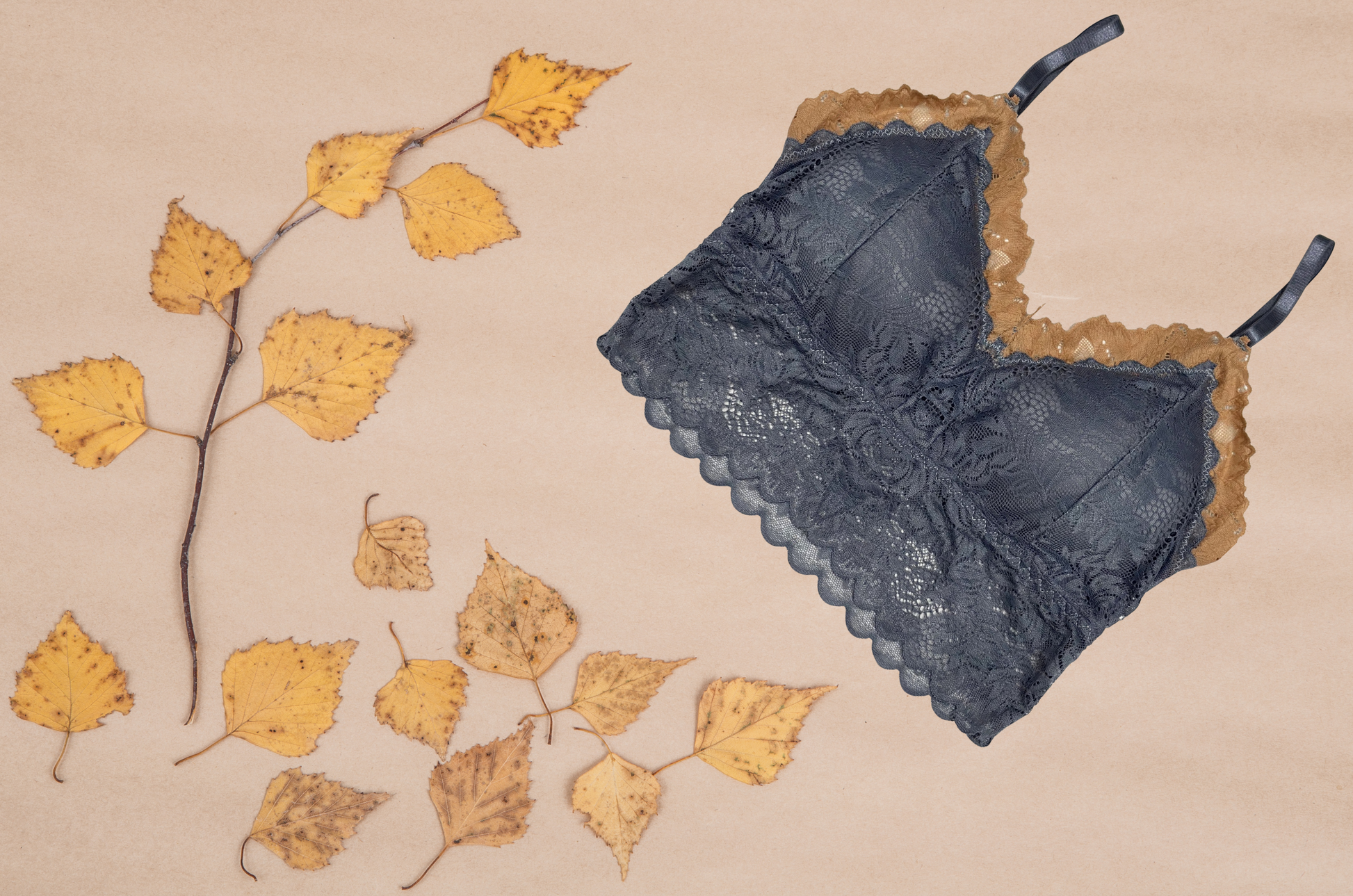 Elegant lace bralette designed for comfort and style, perfect for enhancing your lingerie collection