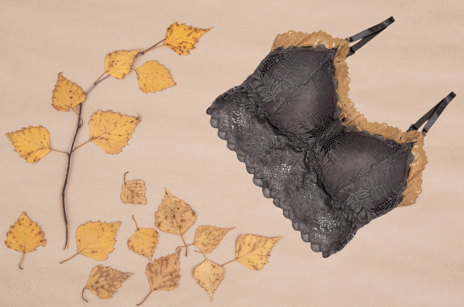 Elegant lace bralette designed for comfort and style, perfect for enhancing your lingerie collection